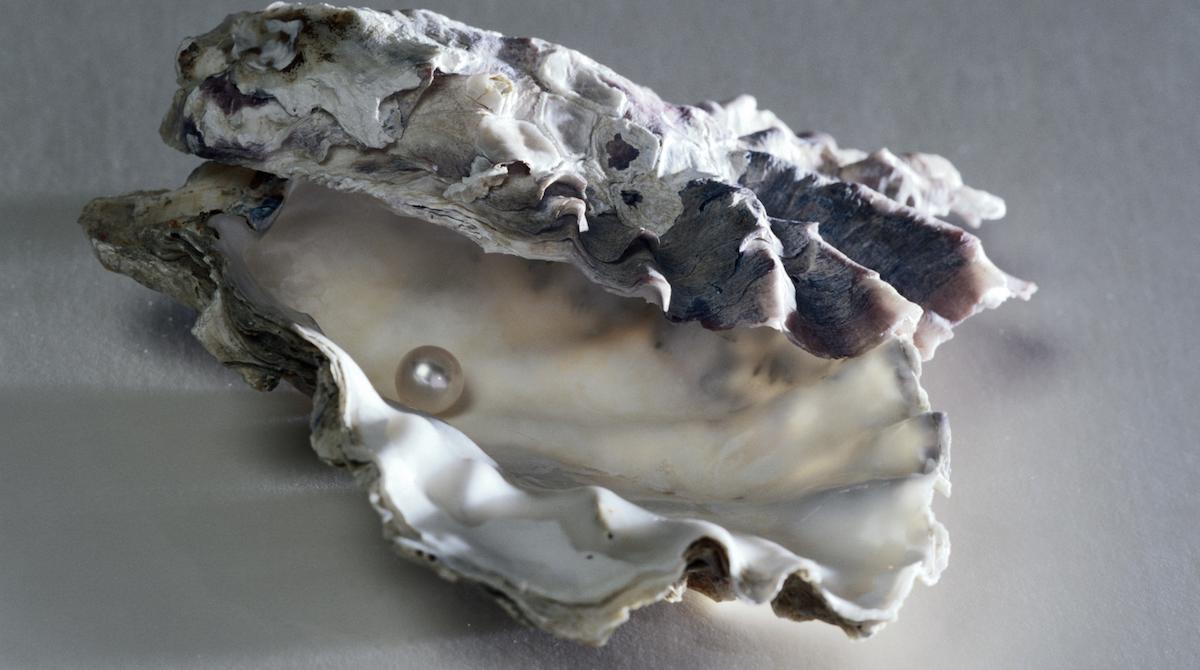 Why Do Oysters Make Pearls?