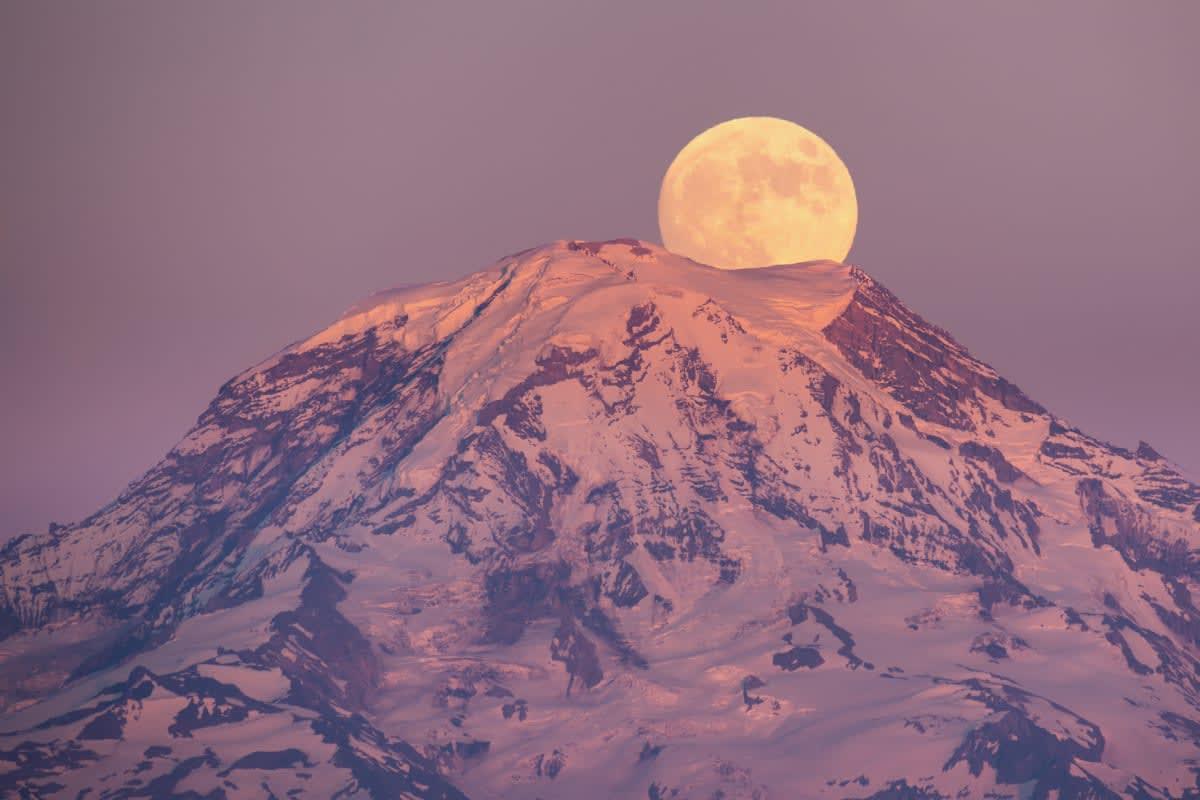 pn/ffc cc ddd bff fdea