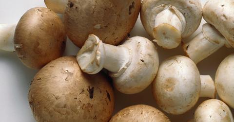 mushrooms sustainable