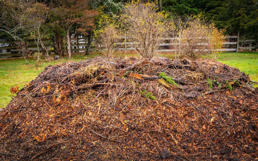 Hugelkultur garden bed