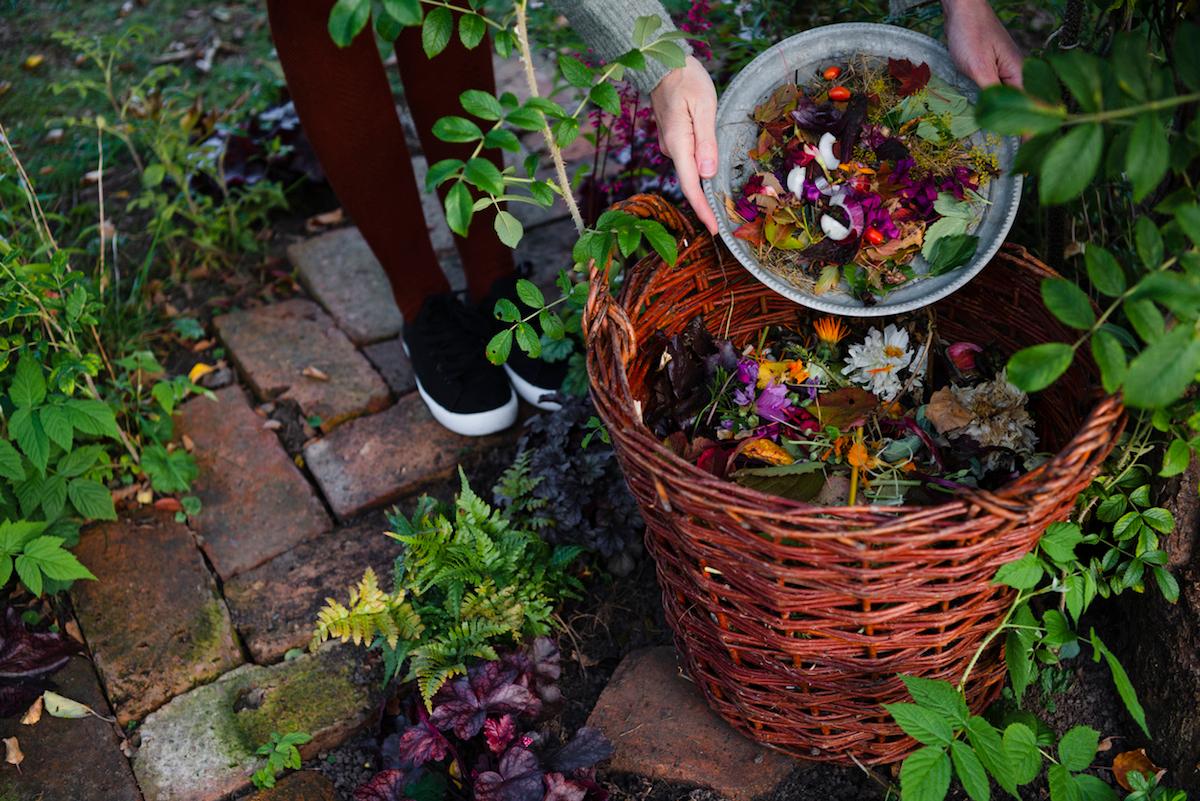 compost flowers