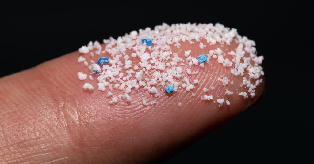 Microplastics Found in Human Organs, According to New Study
