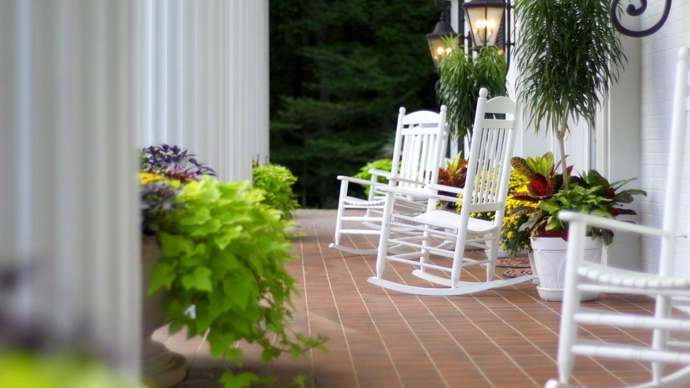8 of the Best Potted Plants for a Shaded Porch