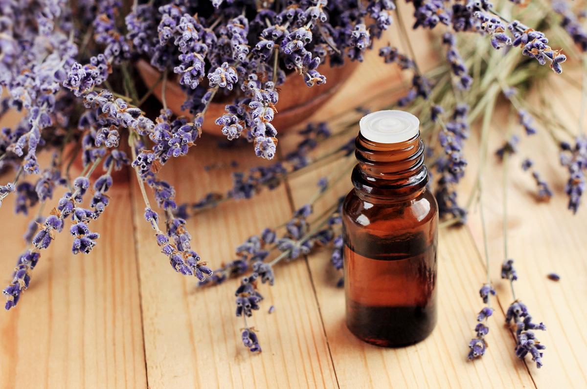 lavender essential oil