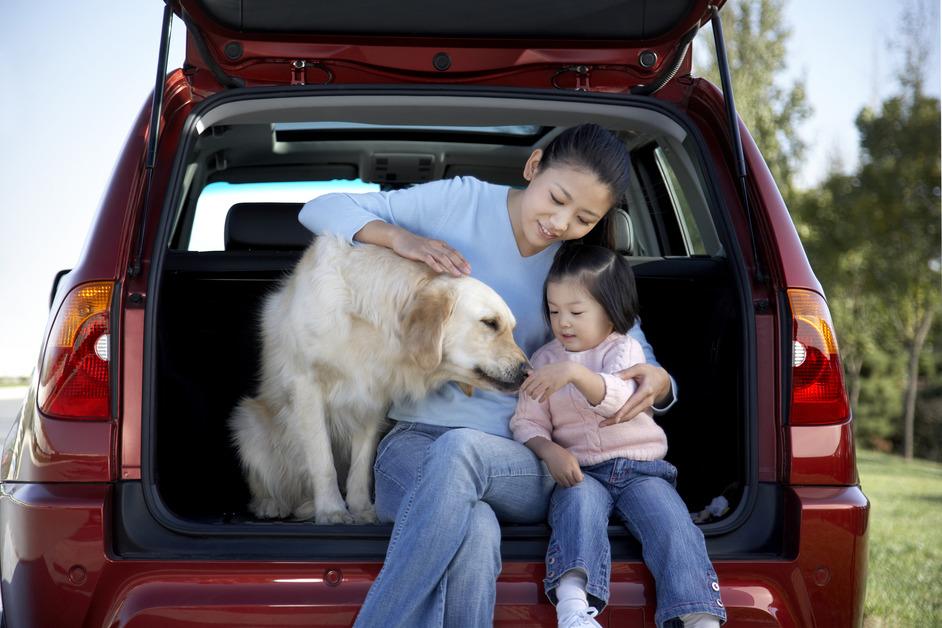 Little girl and woman petting dog in back of car