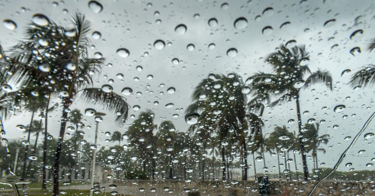 Dashboard covered in rain from a hurricane with palm trees.