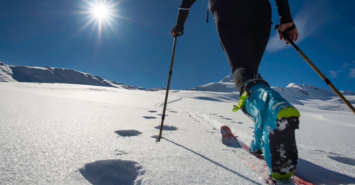 What Size Snowshoe Am I? Here’s a Guide to the Sport, to Get Started