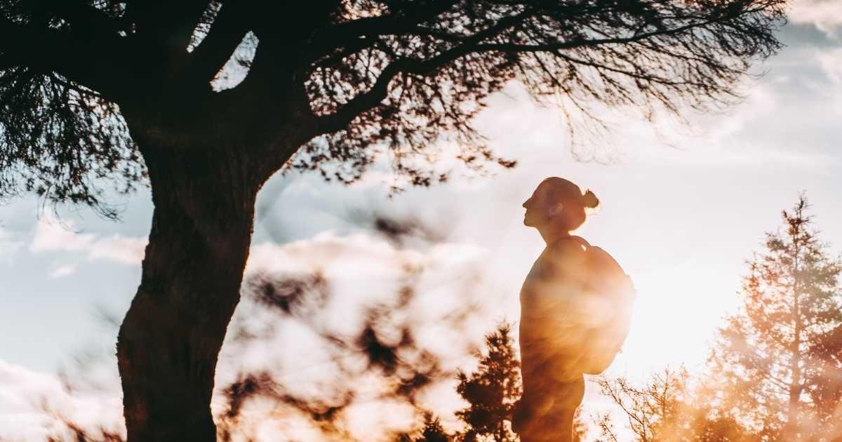 A woman is looking at a tree trunk while hiking in the scorching heat. (Representative Cover Image Source: Getty Images | Ruben Earth)
