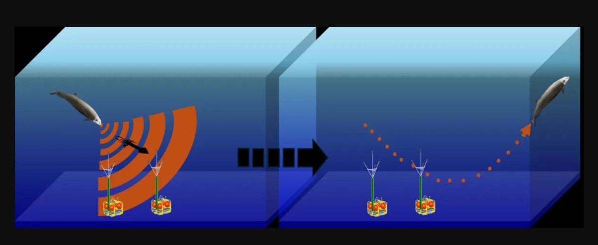 pn/bfa dab a ac bbebbb