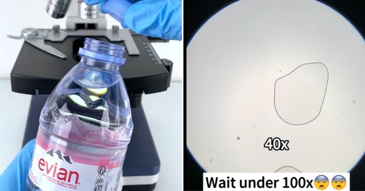 A person tests a purified water sample under a microscope. (Cover Image Source: TikTok | @tiny.world.lens)