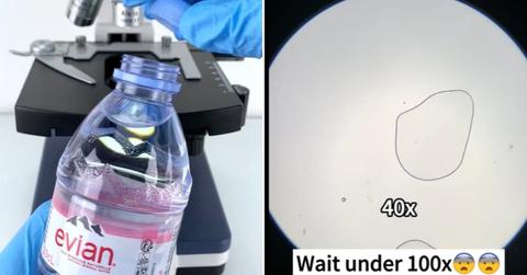 A person tests a purified water sample under a microscope. (Cover Image Source: TikTok | @tiny.world.lens)