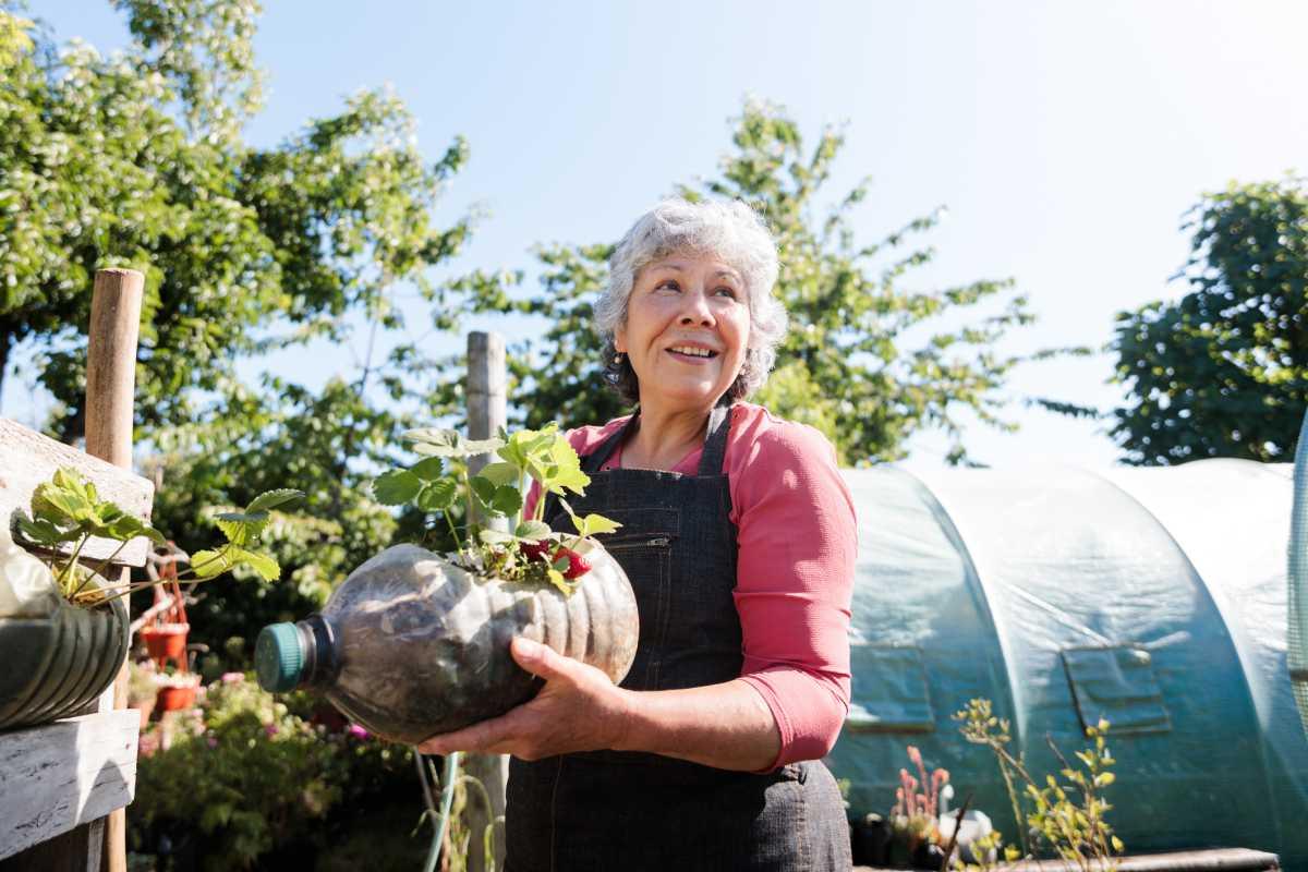 pn/c dcb eb bf aabce