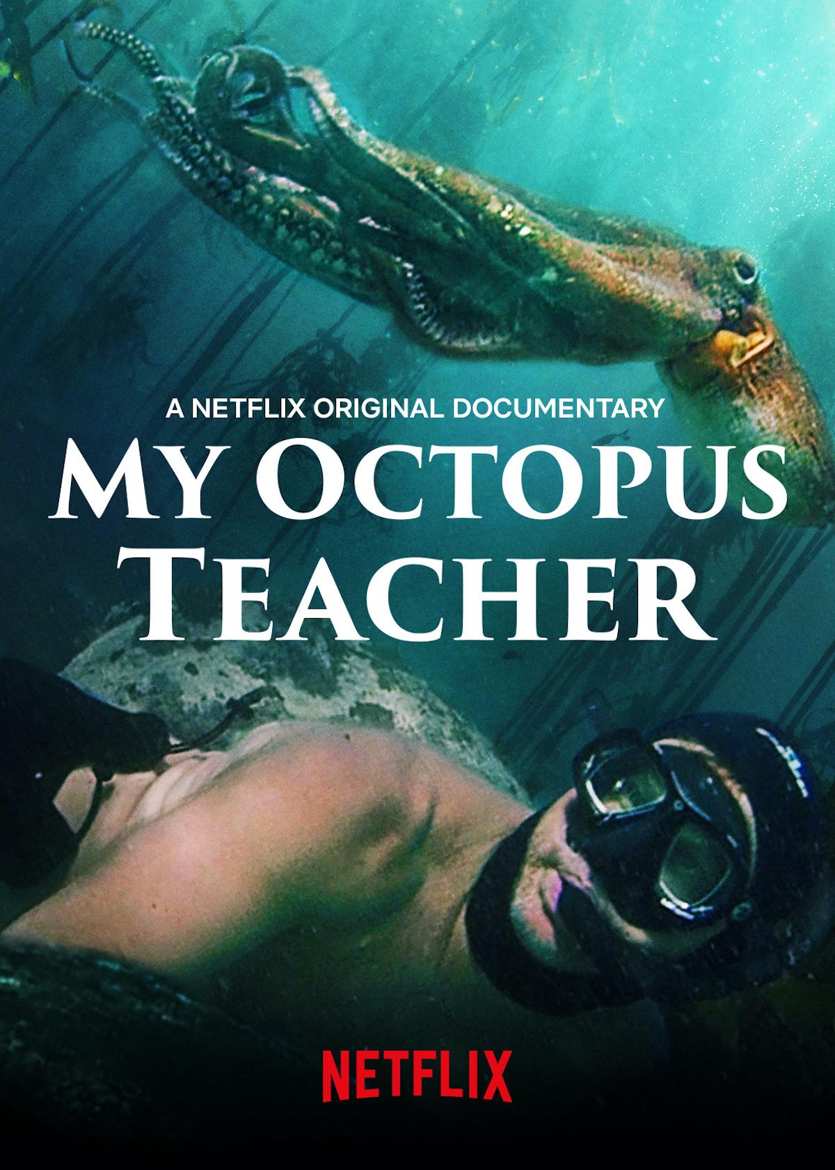 Will Netflix's ‘My Octopus Teacher’ Win Oscar for Best Documentary?