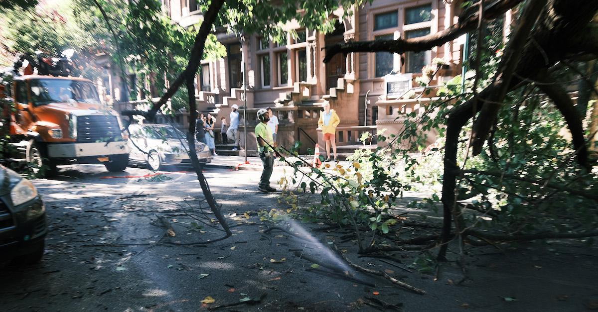 Damage from a hurricane in a suburban city, including downed trees.