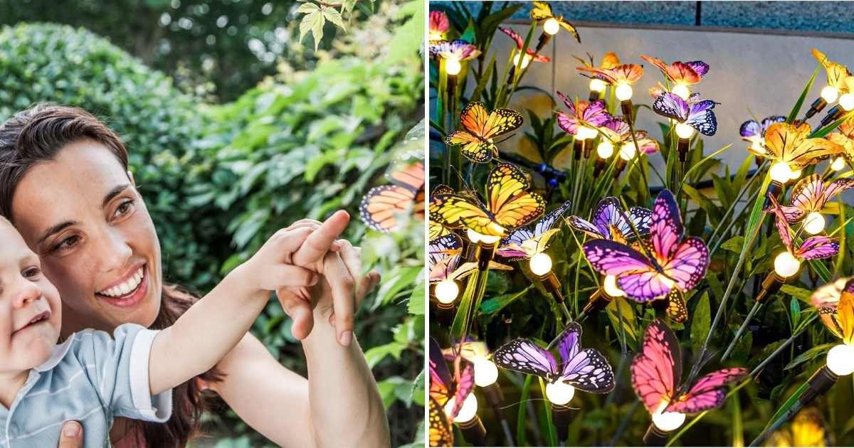 (L) Mother and kid touch a butterfly in the garden (Representative Cover Image Source: Getty Images | XiXiXing) | (R) Butterfly solar lights from TONALAX Store (Cover Image Source: Amazon)