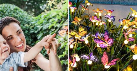 (L) Mother and kid touch a butterfly in the garden (Representative Cover Image Source: Getty Images | XiXiXing) | (R) Butterfly solar lights from TONALAX Store (Cover Image Source: Amazon)
