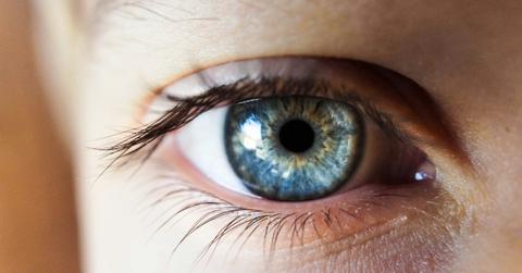 A closeup shot of a blue eye and thick black lashes