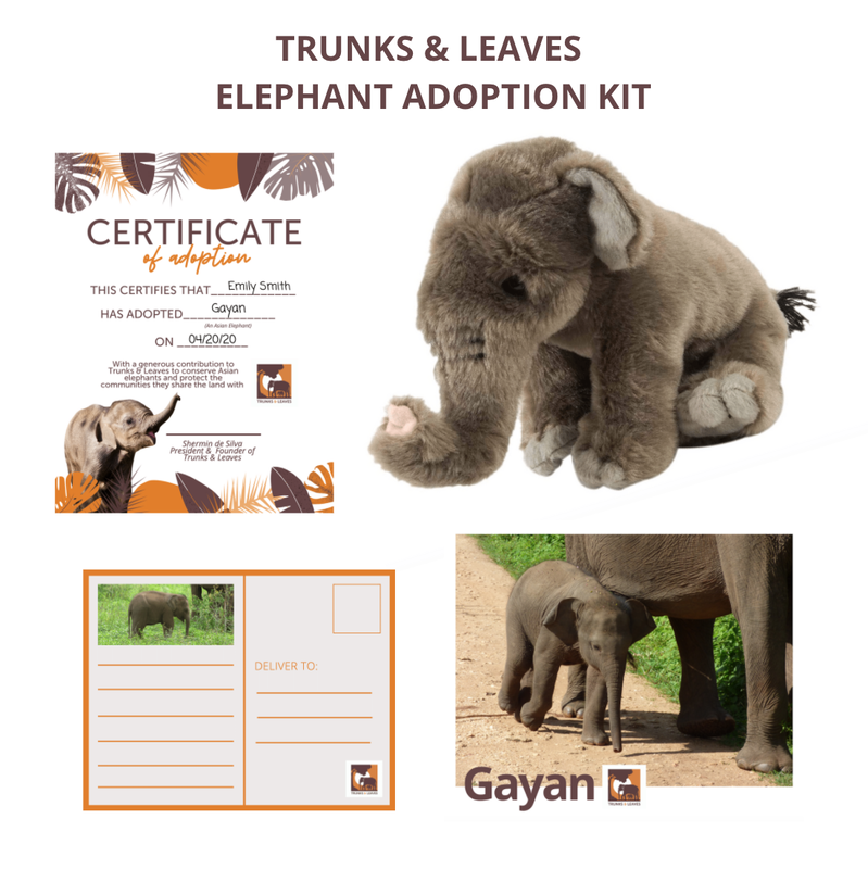 elephant adoption kit_orig