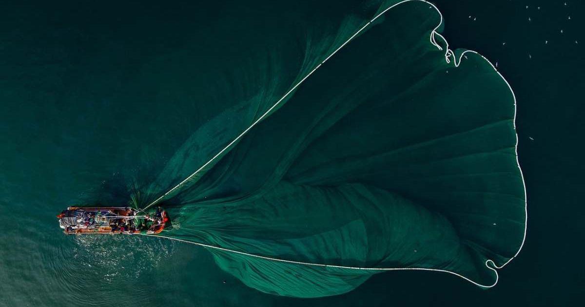 A fishing boat casting out a massive net into the Pacific Ocean. (Representative Cover Image Source: Pixabay | HieuNghiaMini)
