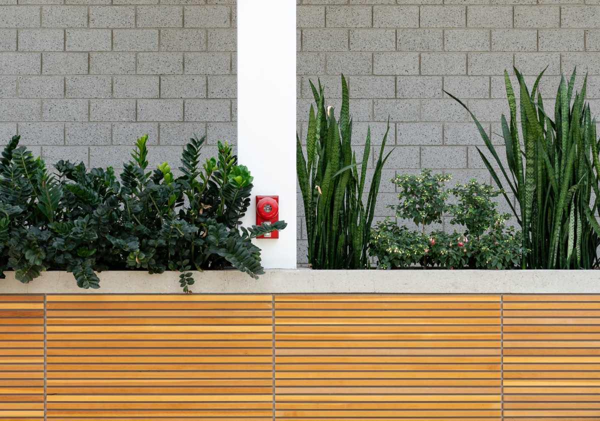 pn/fed bc bfb bfc efcd