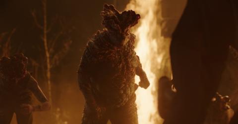 Valley Fever, 'The Last of Us'