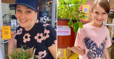Restaurant CEO offers free plants to customers as part of a pollinator program (Cover Image Source: Instagram | @heysunshinekitchen)