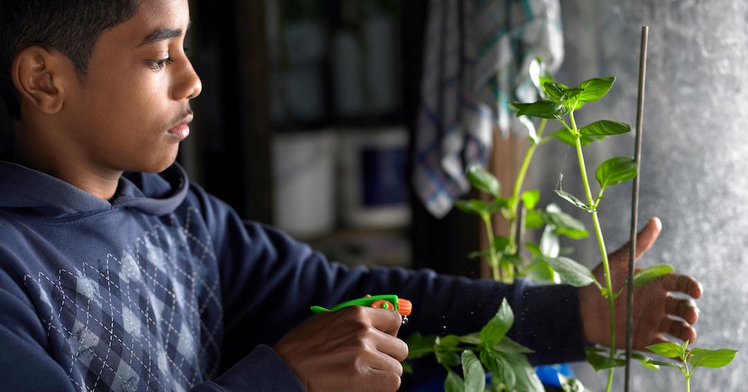 Is Preen Safe for Vegetable Gardens? Here's What You ...