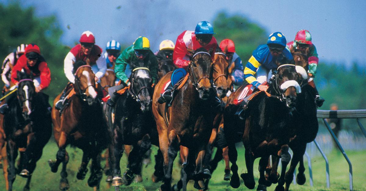 An eye-level shot of jockeys racing on horses.