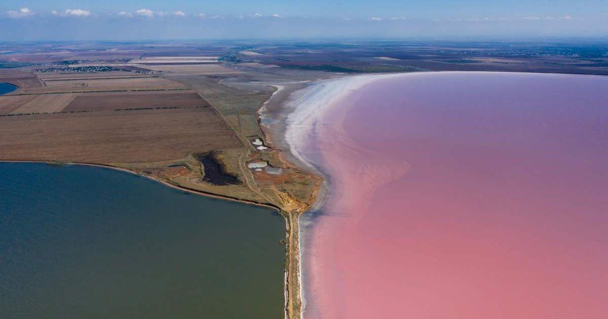 A body of water with pink hues. (Representative Cover Image Source: Pexels | Mikhail Nilov)