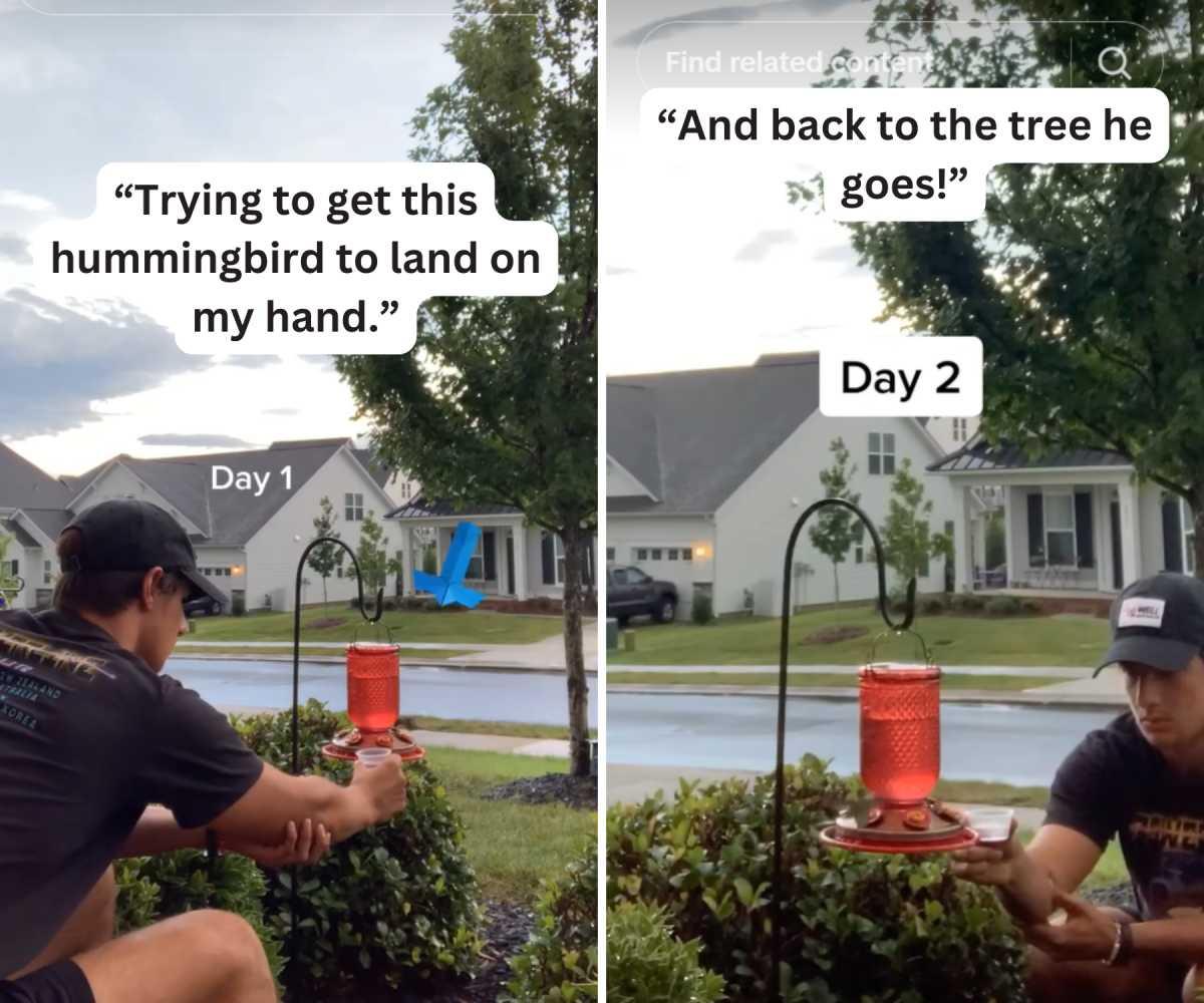 pn/ce de aa aae added