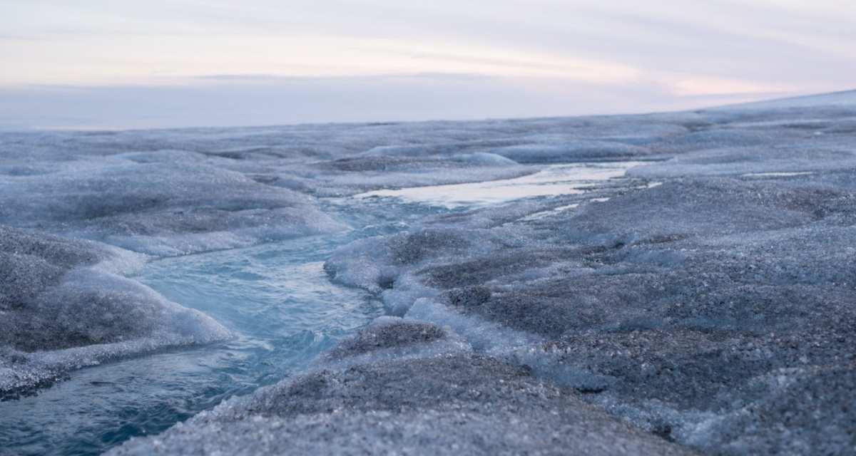 pn/ccfdf a f ae bbac