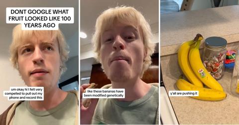 Screenshot from viral TikTok video on what fruit looked like 100 years ago.