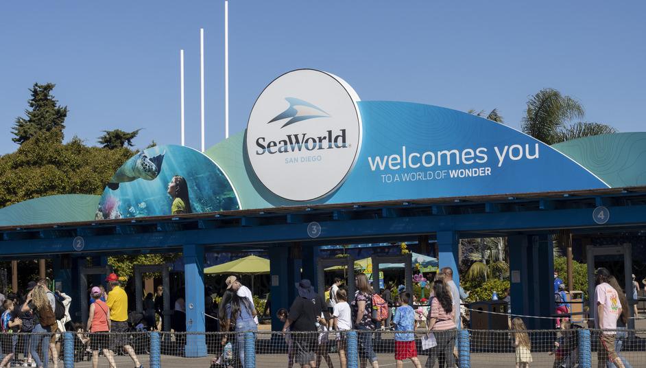 The Dark Side of SeaWorld and Animal Abuse