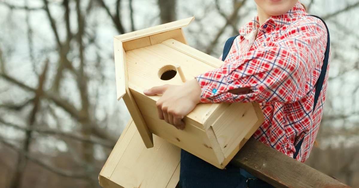 A person brings the bird feeder into their garden. (Representative Cover Image Source: Freepik | Bearfotos)