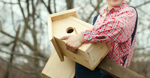 A person brings the bird feeder into their garden. (Representative Cover Image Source: Freepik | Bearfotos)