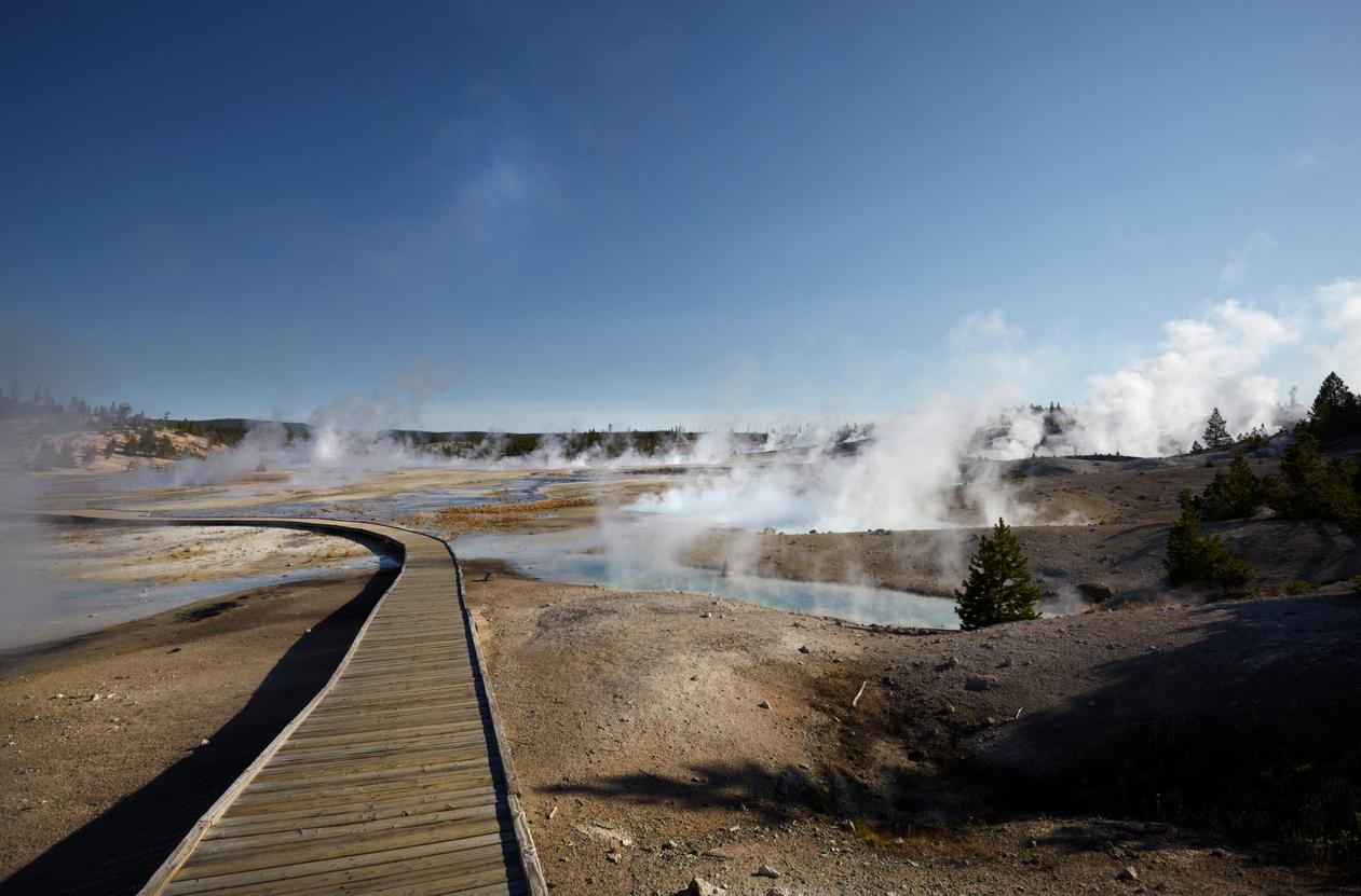 Yellowstone Activity