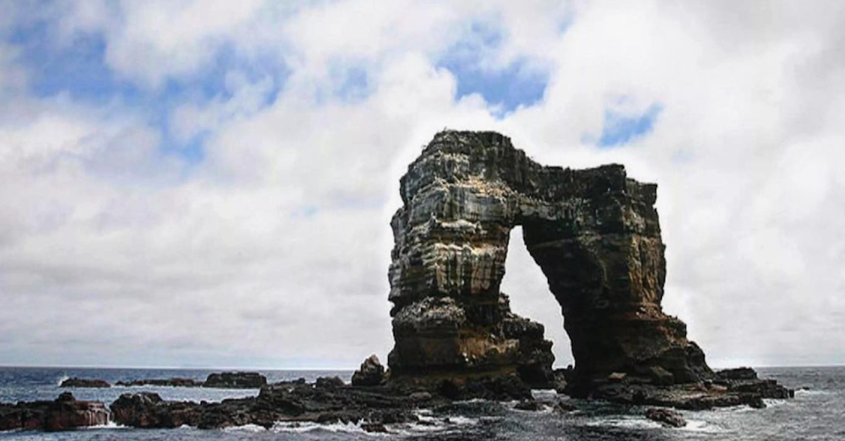 Darwin's Arch