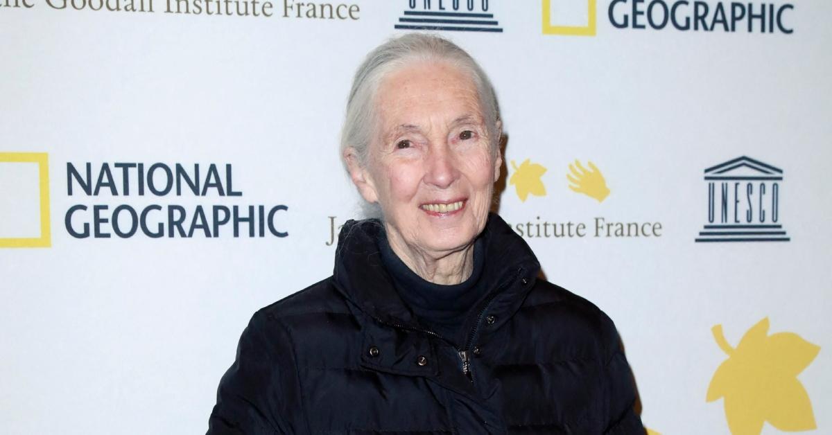 Jane Goodall