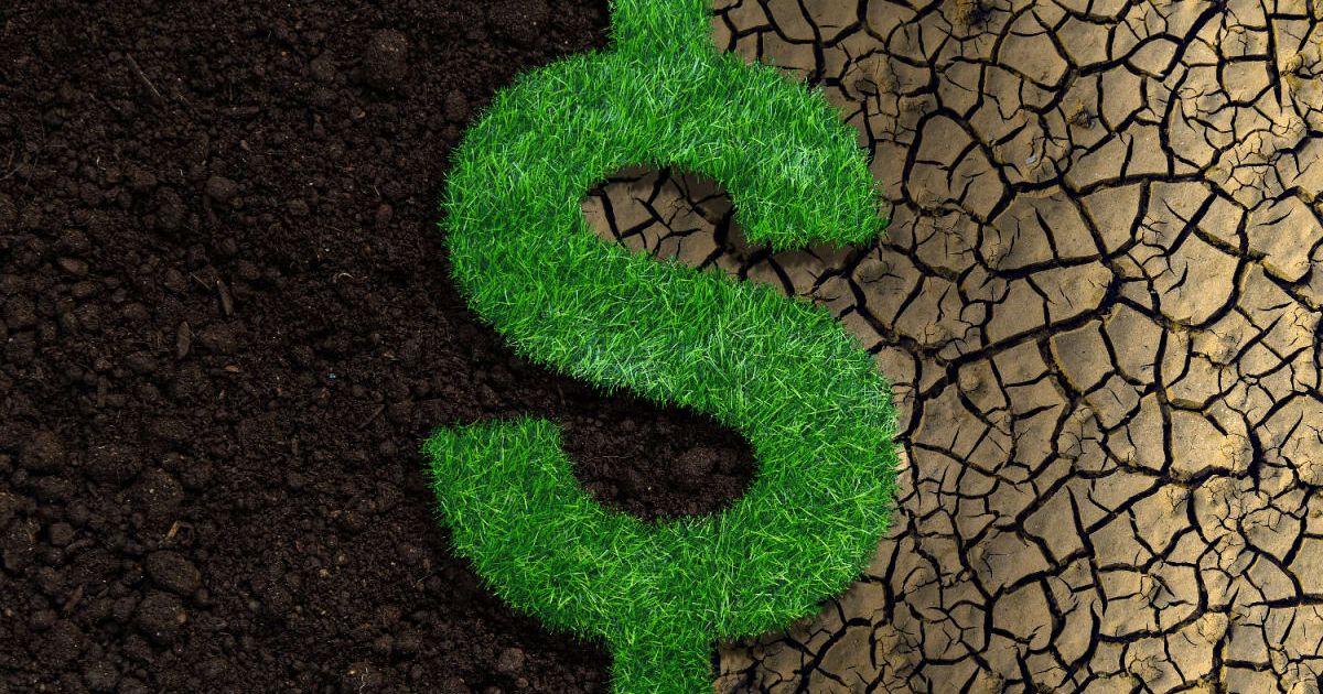 A dollar currency sign made with grass on soil. (Representative Cover Image Source: Getty Images | anand purohit)