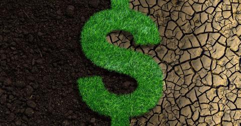 A dollar currency sign made with grass on soil. (Representative Cover Image Source: Getty Images | anand purohit)
