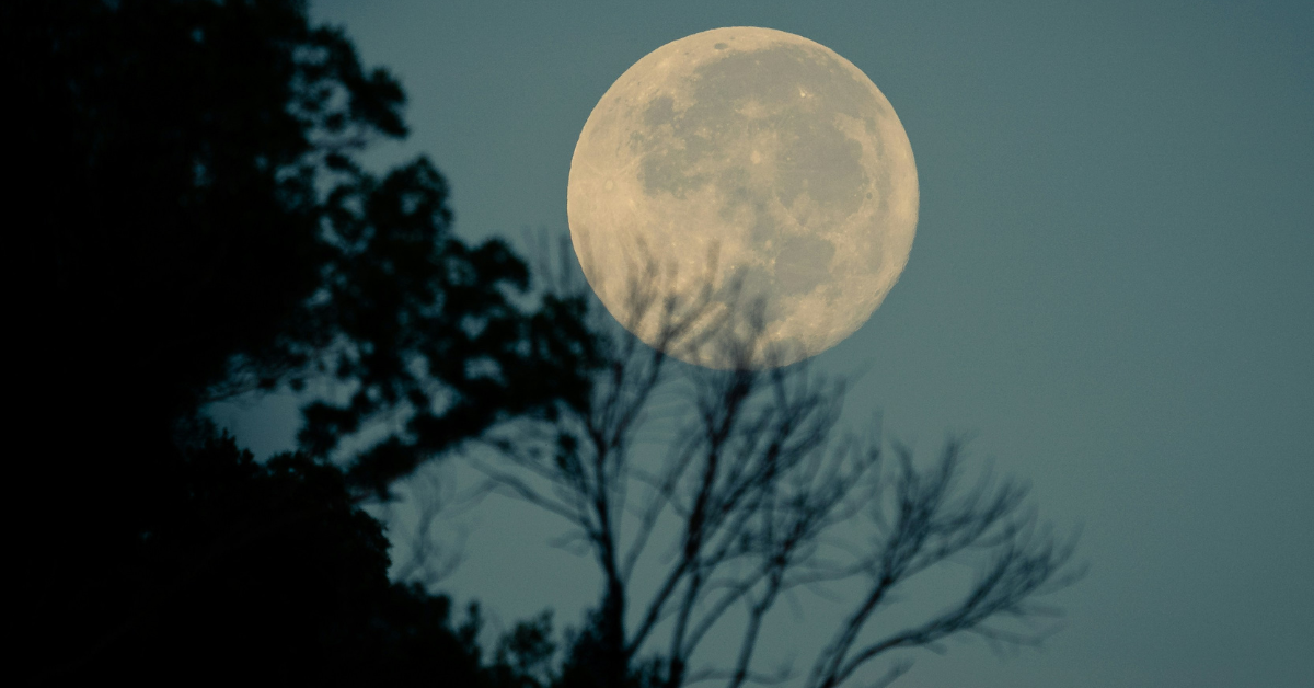 The moon hangs large and low in the sky 