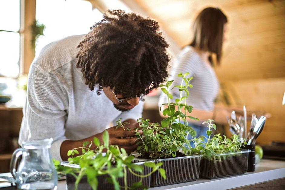 Man bends over and waters plants in an apartment while woman stands behind him. 