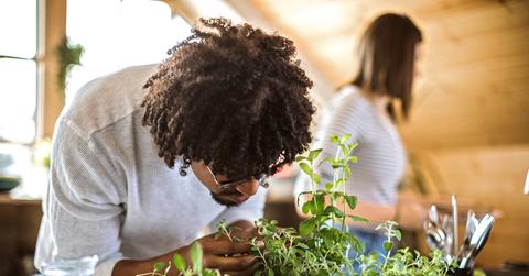 Man bends over and waters plants in an apartment while woman stands behind him.