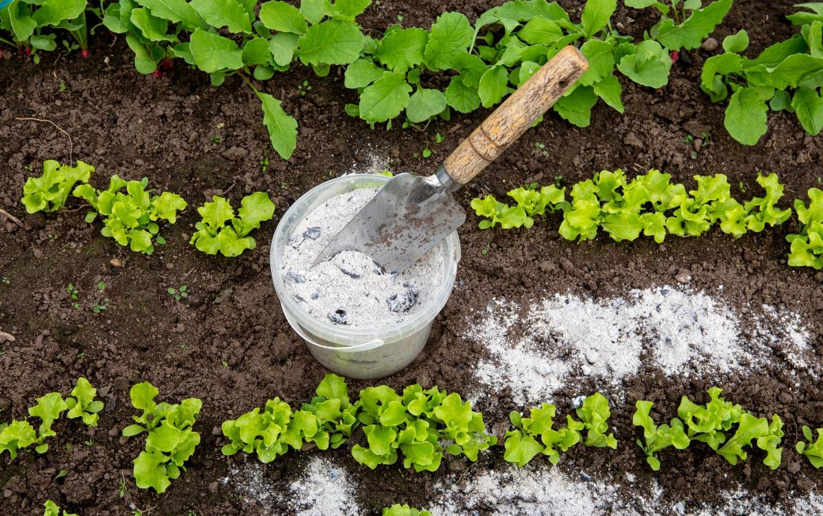 What to Do With Ashes From Your Fireplace and Wood Stoves