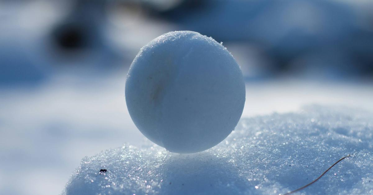 Redditors Discover Snow May Not Melt in the Microwave — Here’s the Fascinating Reason Why