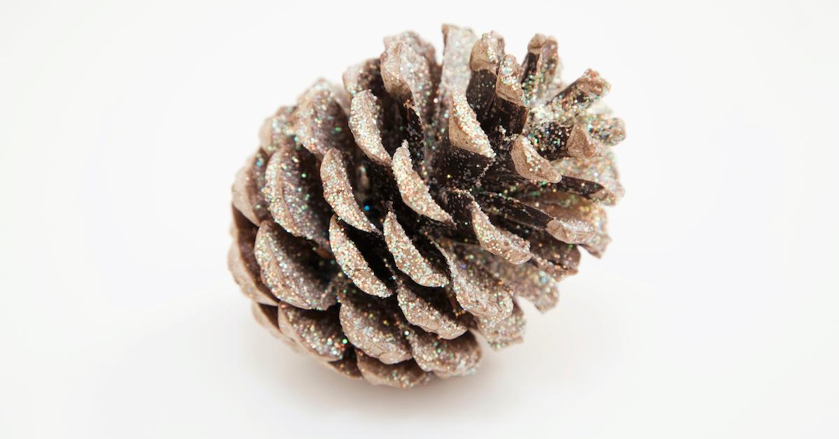 glitter pinecones