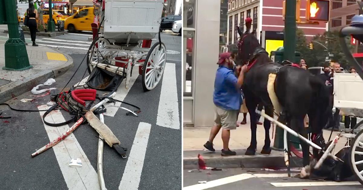 Horse Carriage Accident in NYC Sounds Alarm to Ban the Practice
