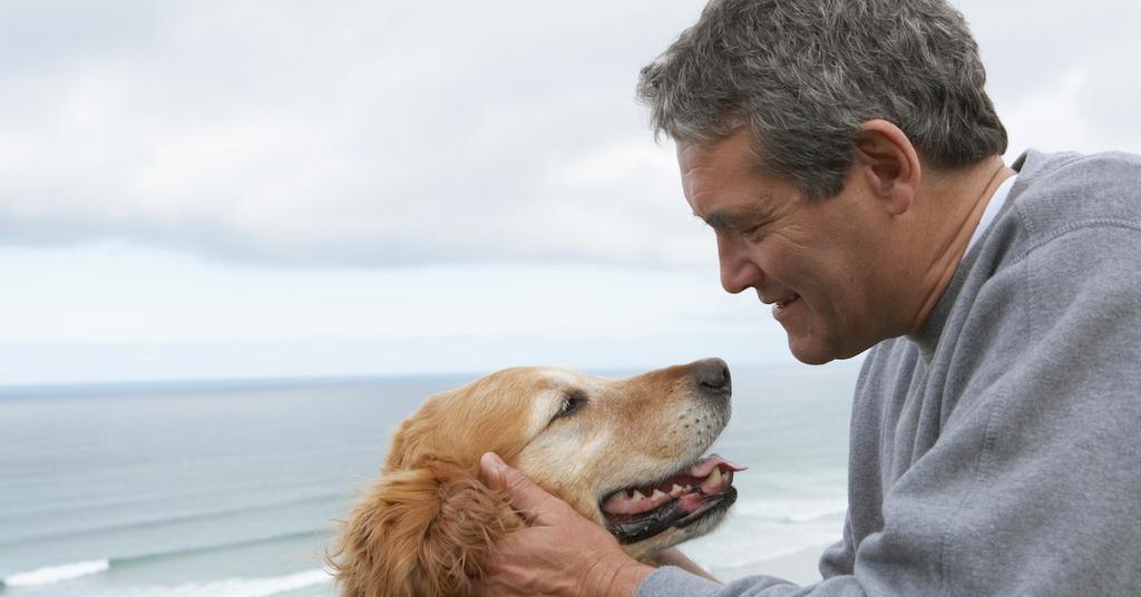 Dogs and Climate Change Their Place in the Climate Crisis