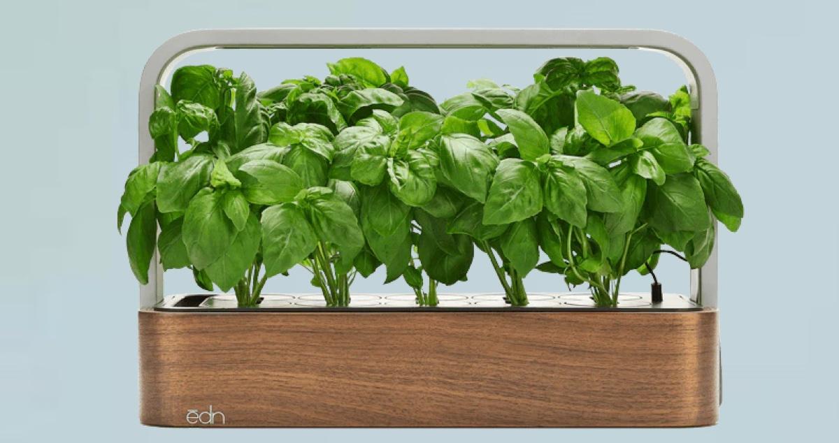 hydroponic garden