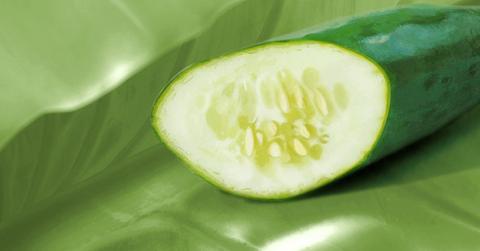 Why your cucumber leaves are turning yellow